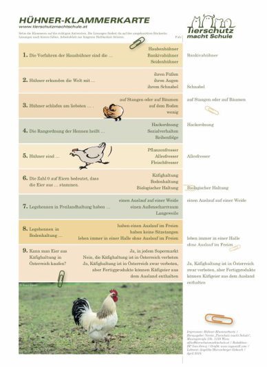 Klammerkarte Hühner