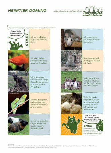 Domino Heimtiere