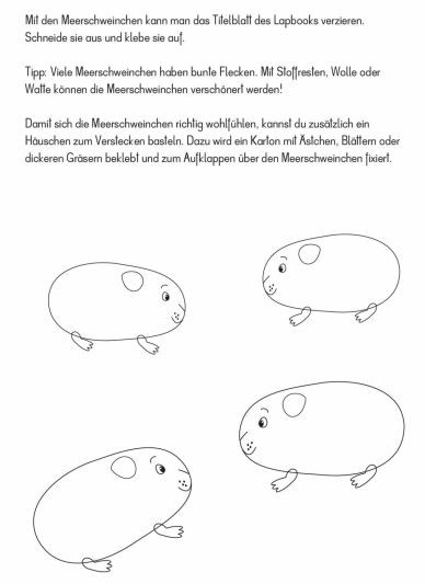 Lapbook Meerschweinchen
