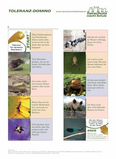 Domino Toleranz