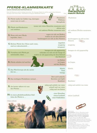 Klammerkarte Pferde