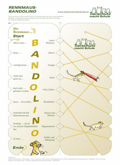 Bandolino Rennmaus