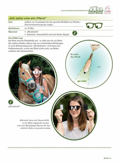 Pferde-Spiele-Sammlung