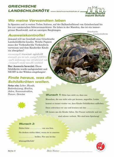 Arbeitsblätter Griechische Landschildkröte