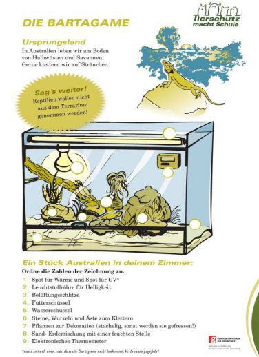 Arbeitsblätter Bartagame