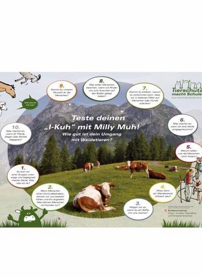 Lernposter über Weidetiere