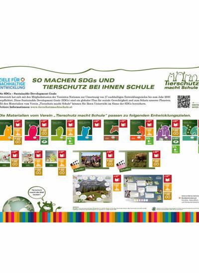 Info-Poster SDGs Sekundarstufe