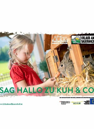 Sag Hallo zu Kuh & Co.