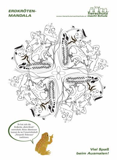 Mandala Erdkröte