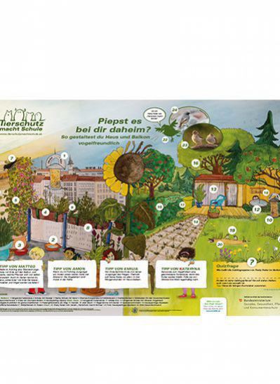 Lernposter über Vögel