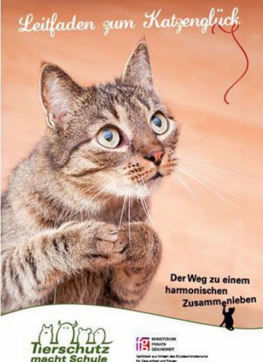 Leitfaden zum Katzenglück
